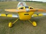 jabiru_j2200